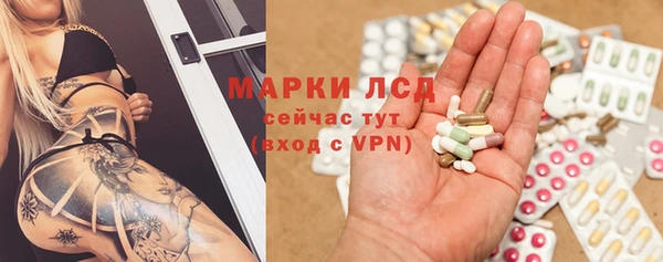 стаф Нефтегорск