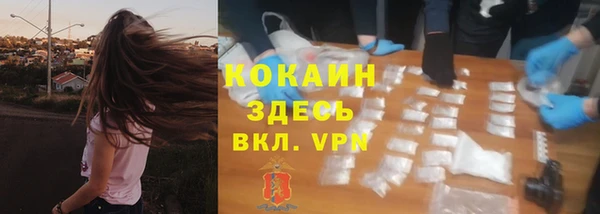 стаф Нефтегорск