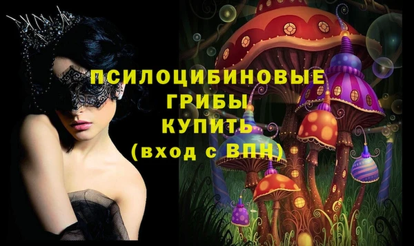 тгк Нефтекумск