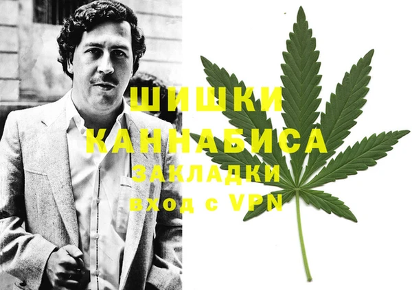 стаф Нефтегорск