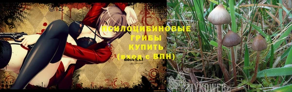 тгк Нефтекумск