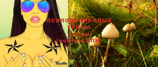 бошки Нея