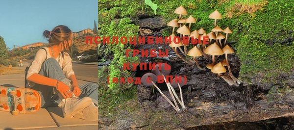 тгк Нефтекумск