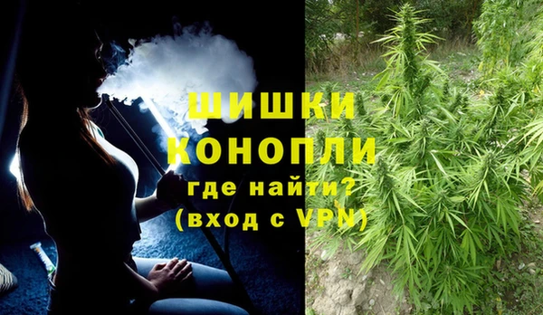 бошки Нея