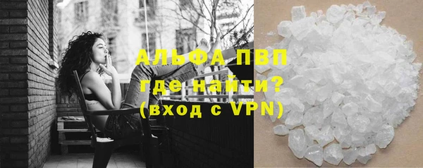 стаф Нефтегорск